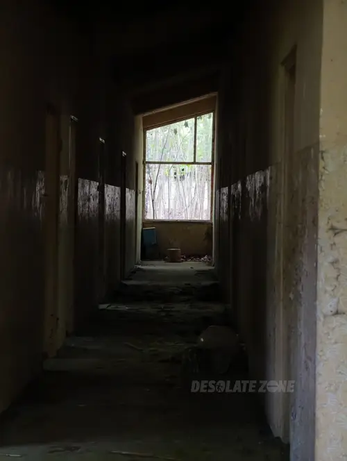 Kolonie w Justynowie, Justynów - zdjęcie 40/138