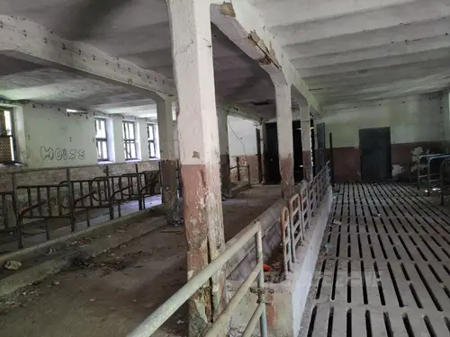INSTYTUT HODOWLI BYDŁA, BRWINÓW - zdjęcie 14/48