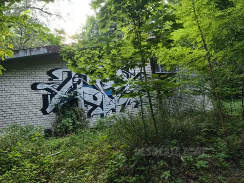 Kolonie w Justynowie, Justynów - zdjęcie 45/138
