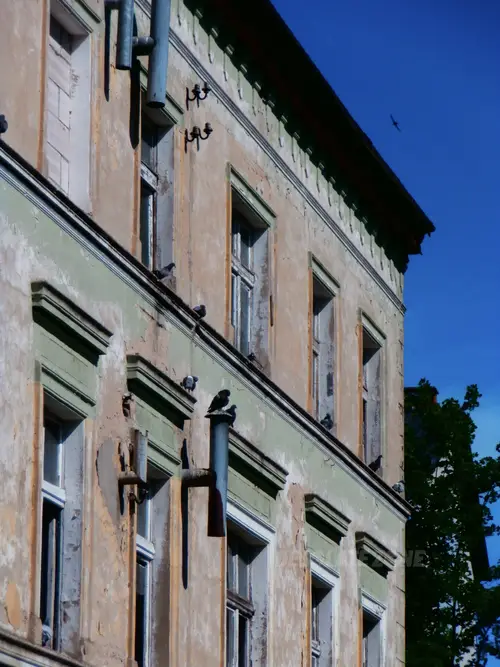 Opuszczona kamienica - zdjęcie 7/7
