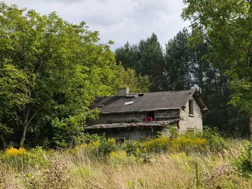 Opuszczony dom na skraju lasu - zdjęcie 48/59