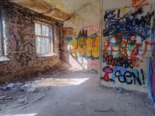 Zakład dla Nerwowo i Psychicznie Chorych Żydów - Zofiówka - photo 21/277