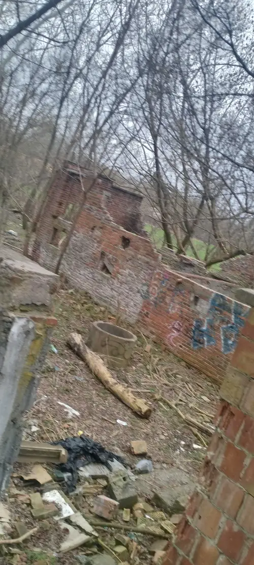 Ruiny kilku domów w lasku - photo 3/6