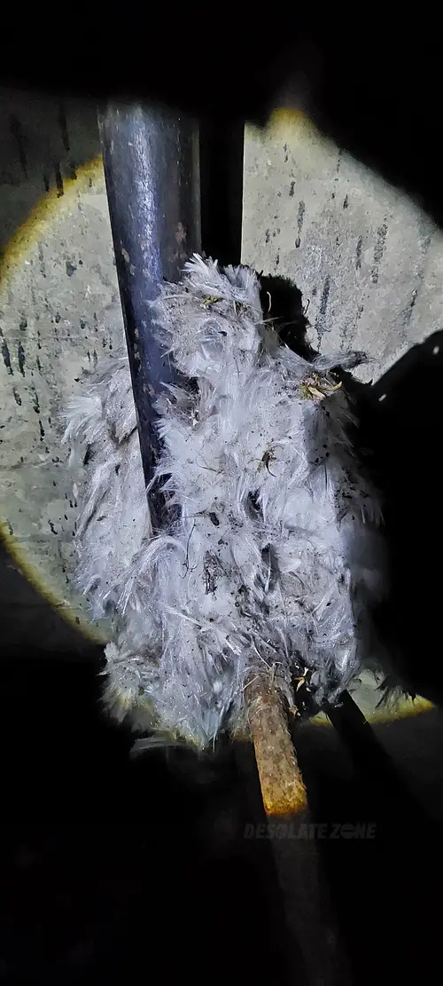 Dawny Zakład Produkcji Specjalnej / Podziemna Fabryka