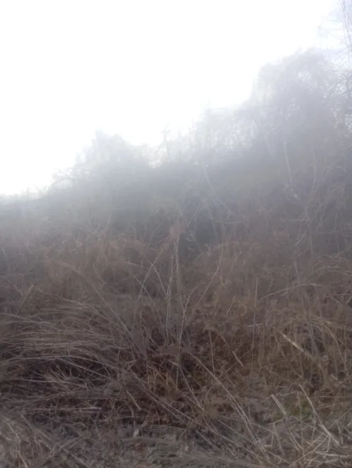 Opuszczony dom - photo 1/1