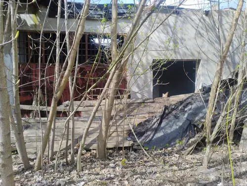 Opuszczony budynek - zdjęcie 5/6