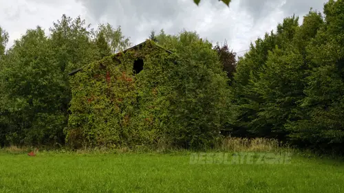 Budynek - zdjęcie 9/16