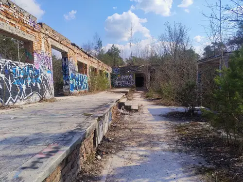 Zakład dla Nerwowo i Psychicznie Chorych Żydów - Zofiówka - photo 8/277