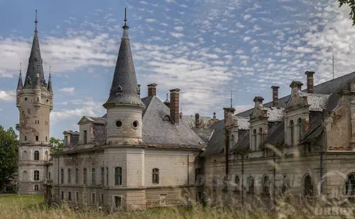 Pałac rodu von Magnis , Bożków - photo 53/59