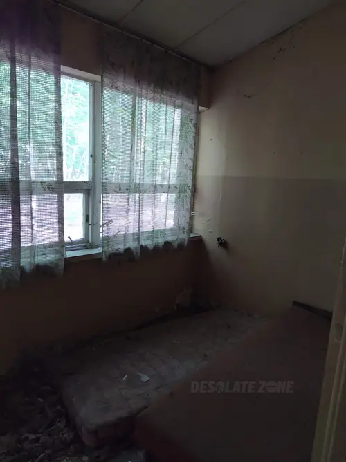 Kolonie w Justynowie, Justynów - photo 13/71