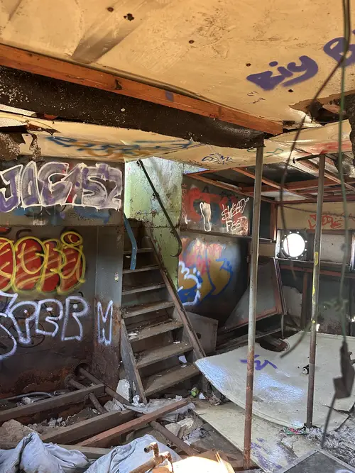 Pchacz łoś-k17 - zdjęcie 3/6