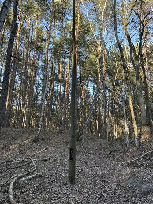 Stanowisko Ogniowe nr. 2 Baterii im. H. Laskowskiego - zdjęcie 4/7