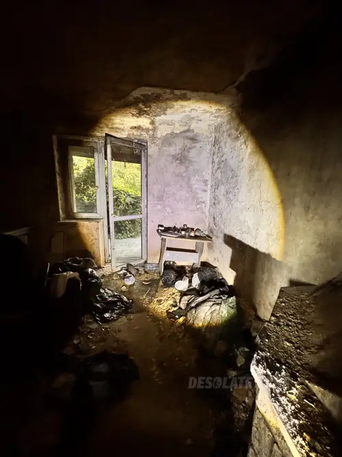 Mocno zarośnięty dom przy drodze - zdjęcie 2/28