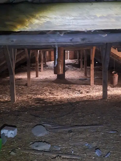 Opuszczona stajnia, Gorzyce