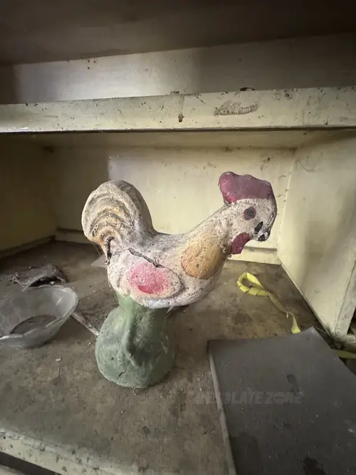 Opuszczone gospodarstwo - zdjęcie 3/27