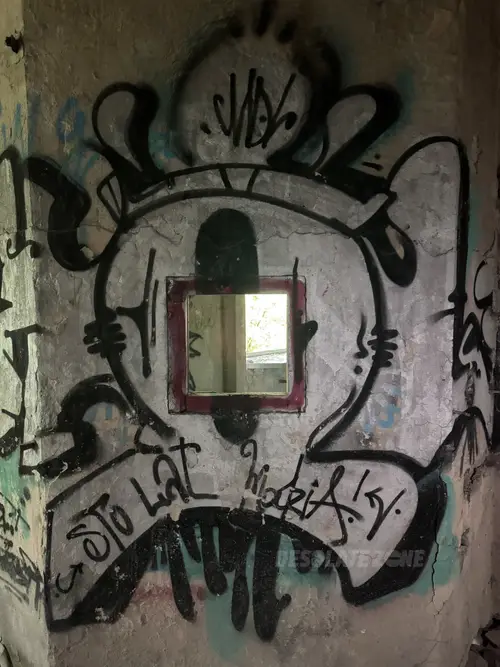 Zakład dla Nerwowo i Psychicznie Chorych Żydów - Zofiówka - photo 16/360