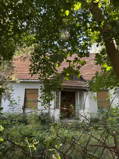 Opuszczony dom - zdjęcie 4/4