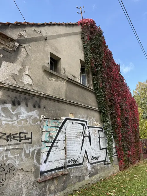 Opuszczony dom - zdjęcie 5/5