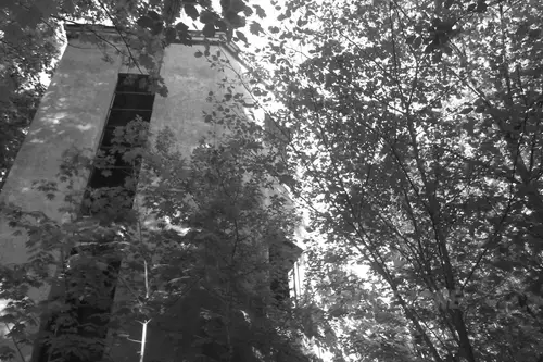 Tor wyścigów konnych, Łódź - photo 10/197