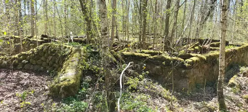Opuszczona leśniczówka