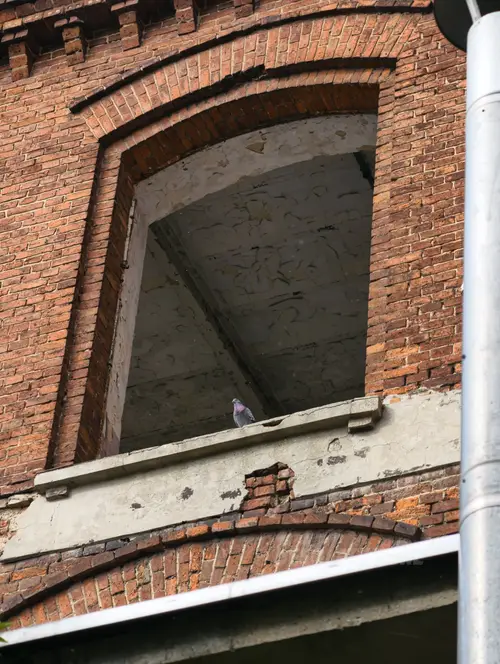 Pamotex, Pabianice - zdjęcie 16/131