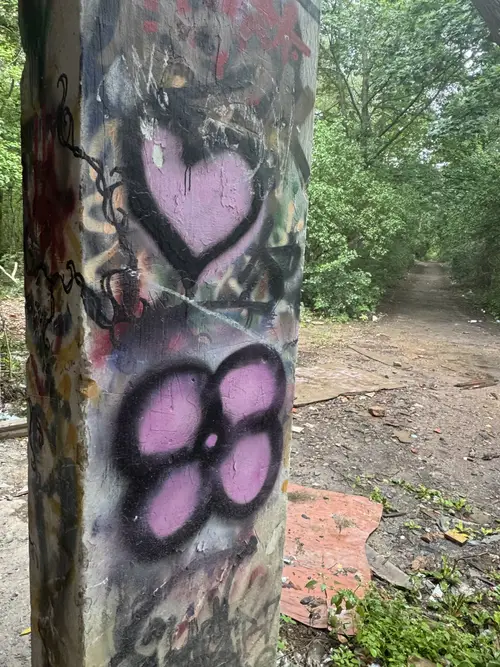 Zakład dla Nerwowo i Psychicznie Chorych Żydów - Zofiówka - photo 5/360
