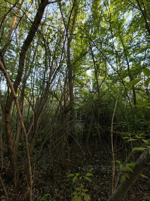 Budynek - photo 3/4