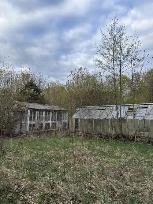 Opuszczone szklarnie - zdjęcie 2/7