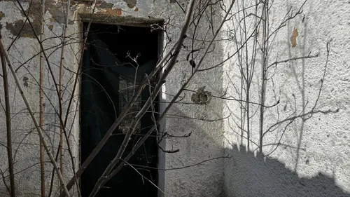 Budynek - zdjęcie 2/7