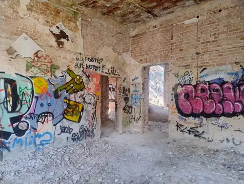 Zakład dla Nerwowo i Psychicznie Chorych Żydów - Zofiówka - photo 10/277