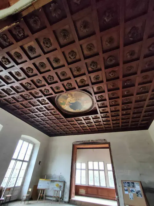 Pałac, Dąbrowa Niemodlińska - zdjęcie 3/11