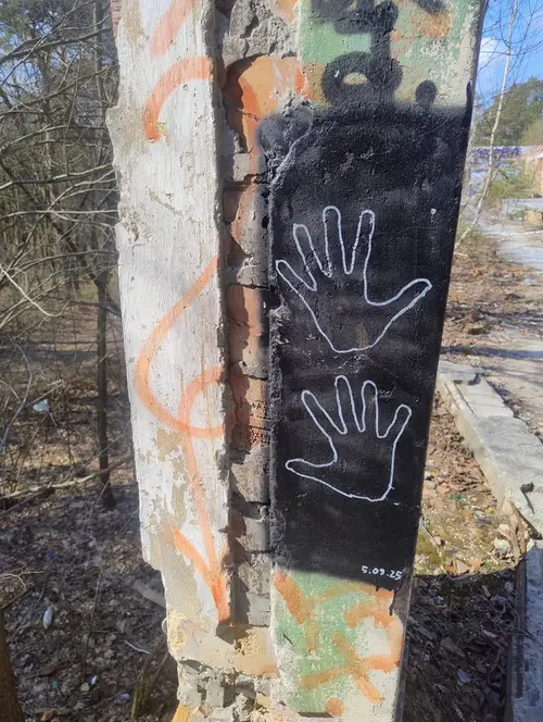 Zakład dla Nerwowo i Psychicznie Chorych Żydów - Zofiówka - photo 11/277