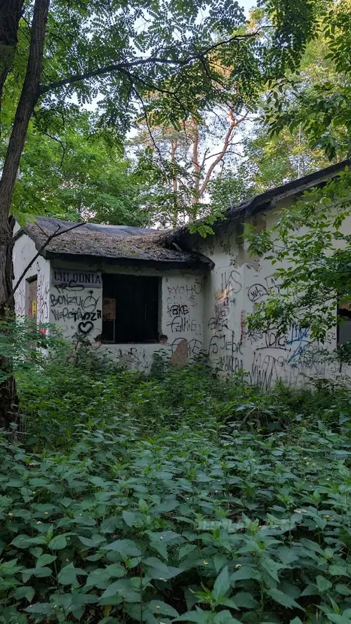 Szpitalna chłodnia.