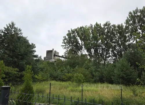 Opuszczone zakłady wapienne, Chrzanów, źrebce - photo 1/16