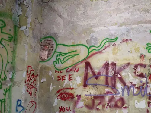 Zakład dla Nerwowo i Psychicznie Chorych Żydów - Zofiówka - photo 12/383