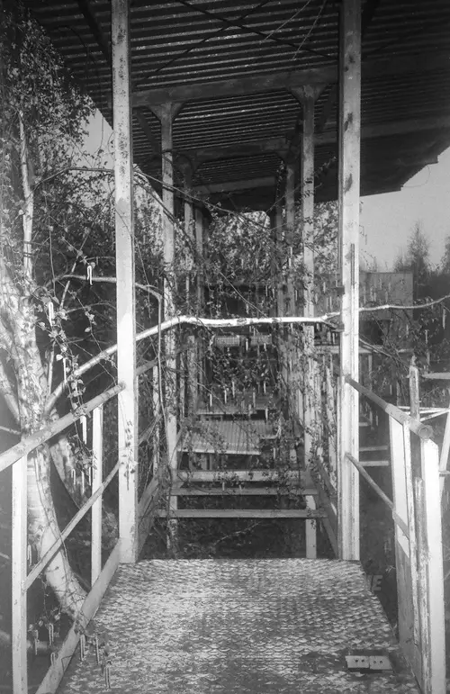 Opuszczona baza paliwowa - photo 14/86