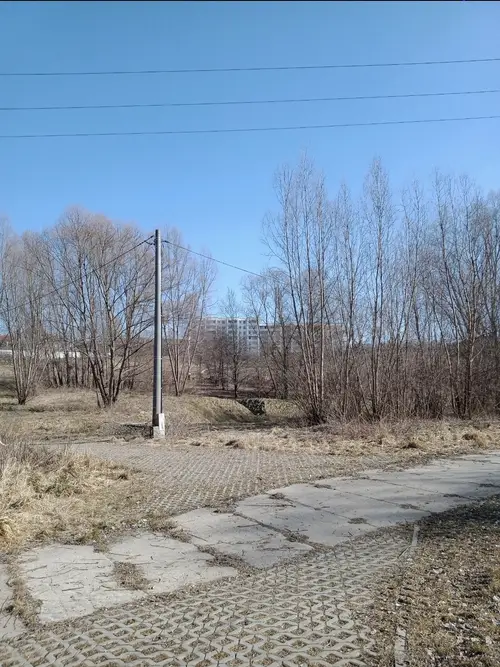 Stary zapomniany teren retencyjny - zdjęcie 5/5