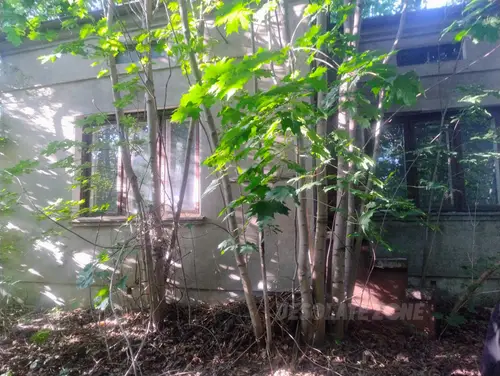 Opuszczony dom - zdjęcie 1/3