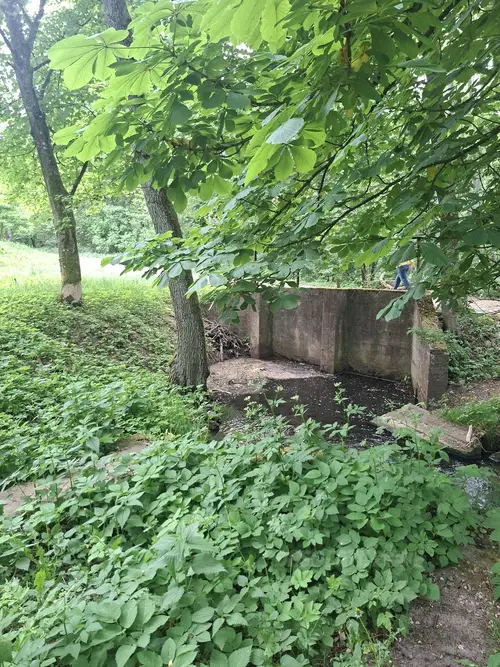 Opuszczona zabudowa z XIV w. - zdjęcie 6/13