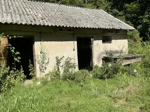 Opuszczona leśniczówka - zdjęcie 10/34