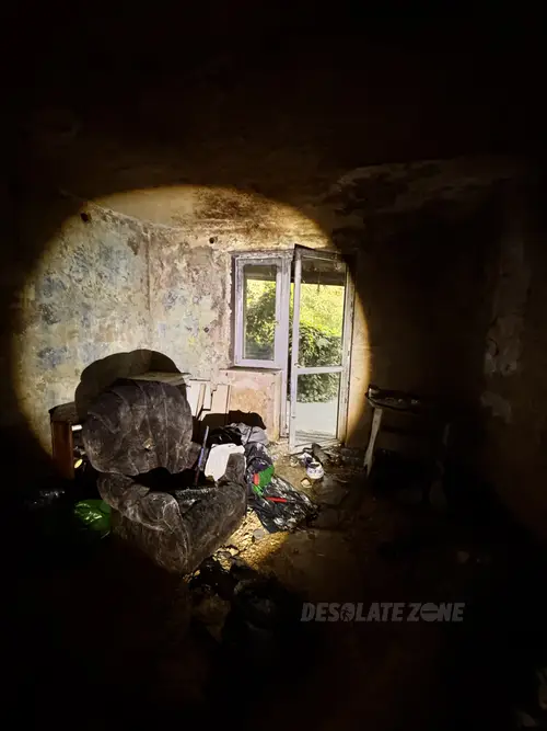 Mocno zarośnięty dom przy drodze - zdjęcie 3/28