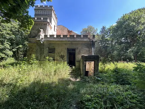 Pałac z okresu XIX i XXw. - photo 2/26