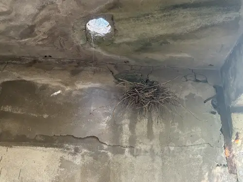 Opuszczone kurniki / dawna ferma drobiu - zdjęcie 15/19