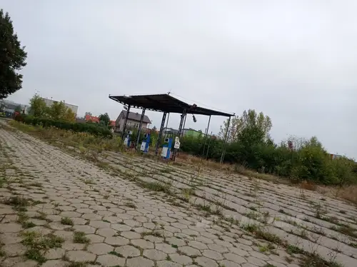 Zieleń Miejska Cyprus - photo 1/3