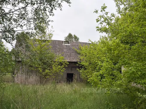 Opuszczone gospodarstwo - photo 23/55