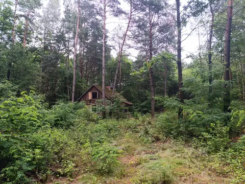 Opuszczone domki letniskowe - zdjęcie 2/16
