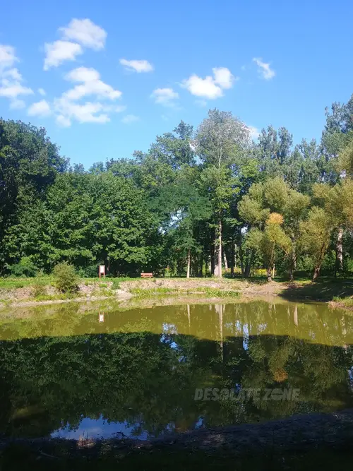 Tor wyścigów konnych, Łódź - zdjęcie 1/179