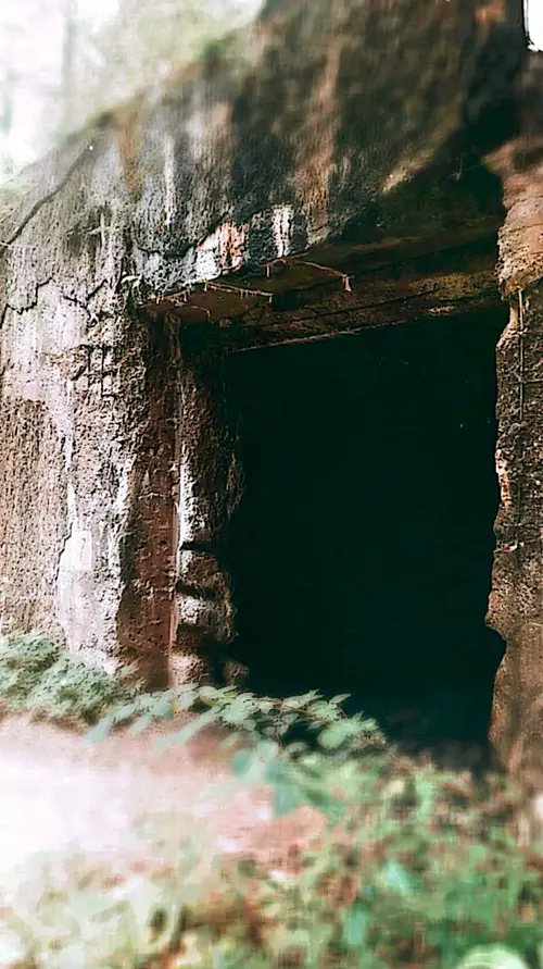 Hochwald - BUNKRY niemieckie, Pozezdrze - zdjęcie 3/10