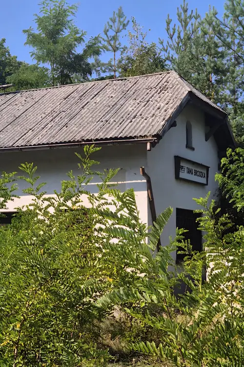 Opuszczony dworzec kolejowy - zdjęcie 4/4