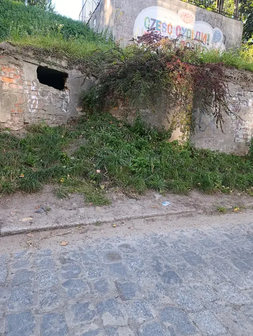 Bunker na przeczniczej